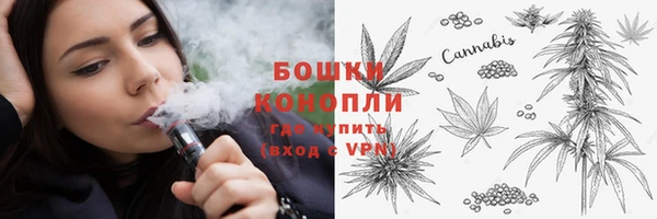 соль ск Арсеньев