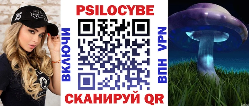 OMG ссылка Новодвинск Галлюциногенные грибы MAGIC MUSHROOMS